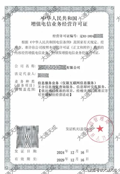 大通天成 深耕辽宁增值电信资质服务，领航2026数字化新纪元